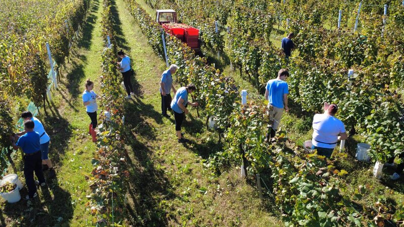 rsz_1img-20251030-wa0006